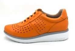 A-9472 Guepard Trainer