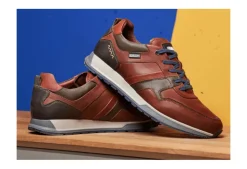 Cambil Leather Trainer