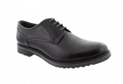 Encanio 701 Lace Derby