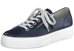 Palace Platform Trainer