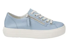 Palace Platform Trainer