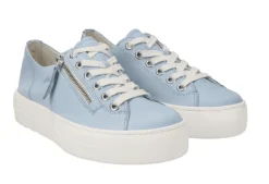 Palace Platform Trainer