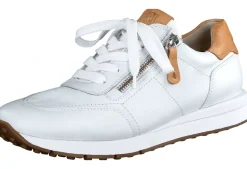 Planet 4085-043 Trainer