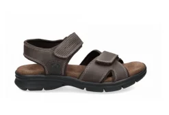 Sanders Basic Strap Sandal