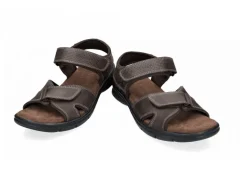 Sanders Basic Strap Sandal